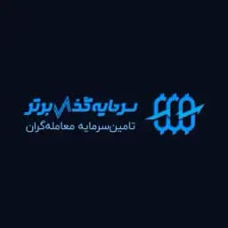 سرمایه گذار برتر